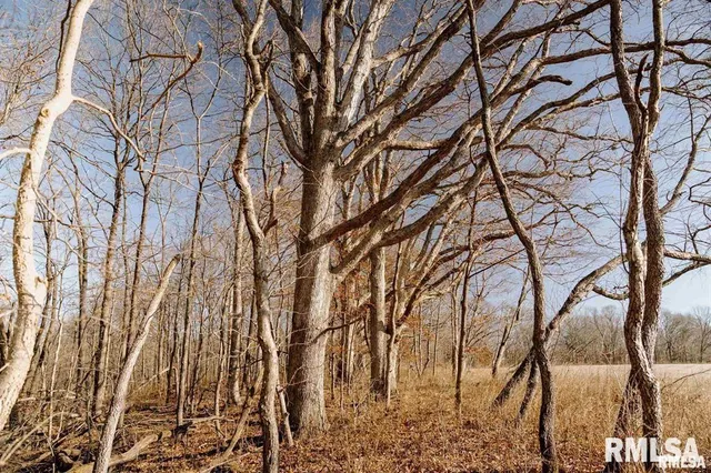 $840,000 | 500-n 300 East E Road, Oconee, IL 62553