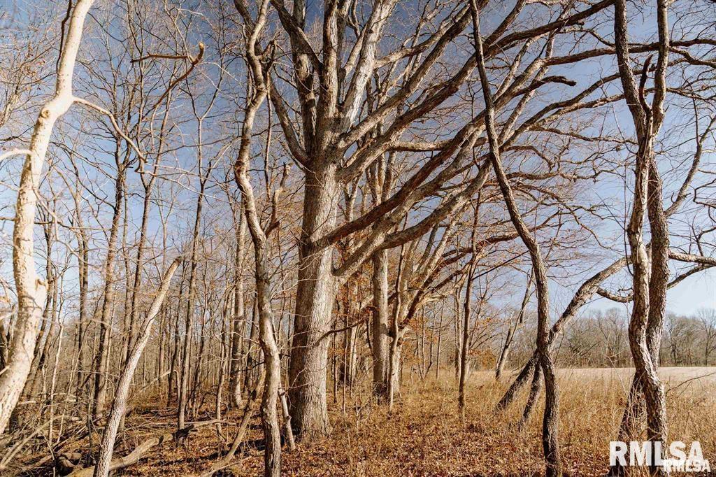 500-n 300 East E Road Oconee, IL 62553 - Photo 21 of 43