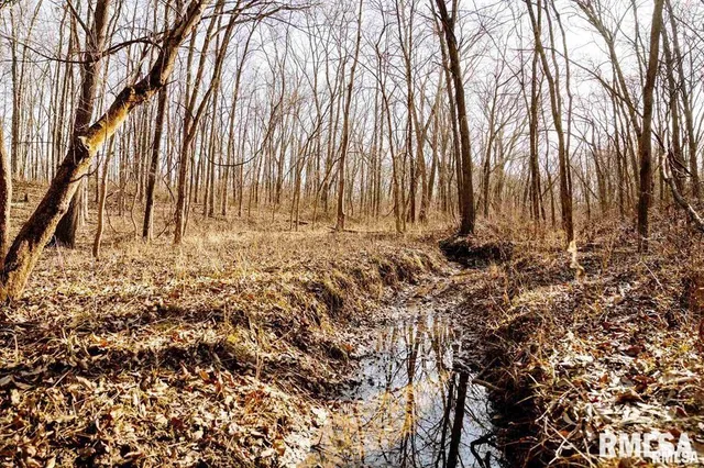 $840,000 | 500-n 300 East E Road, Oconee, IL 62553