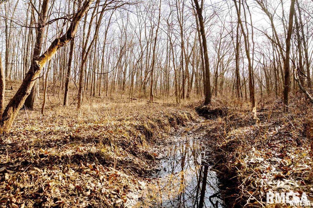 500-n 300 East E Road Oconee, IL 62553 - Photo 22 of 43