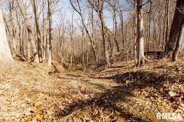 $840,000 | 500-n 300 East E Road, Oconee, IL 62553