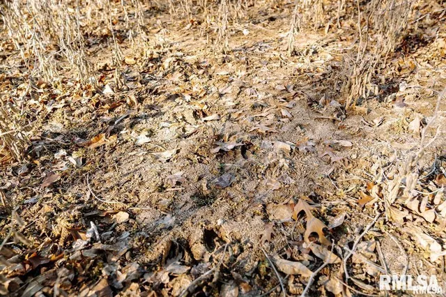 $840,000 | 500-n 300 East E Road, Oconee, IL 62553