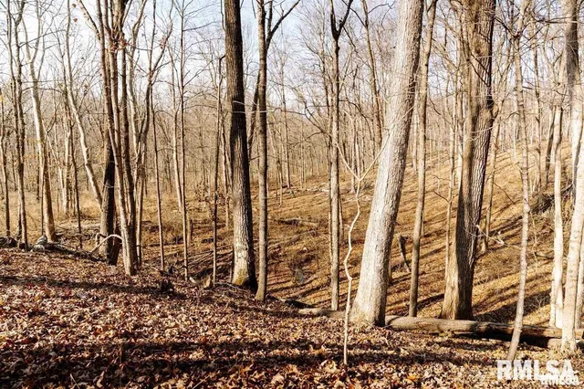 $840,000 | 500-n 300 East E Road, Oconee, IL 62553