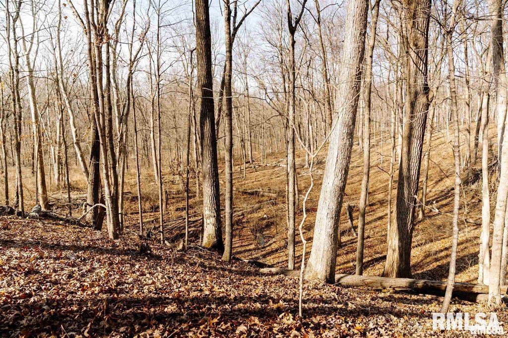 500-n 300 East E Road Oconee, IL 62553 - Photo 25 of 43