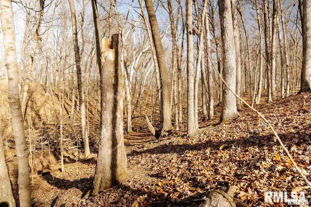 $840,000 | 500-n 300 East E Road, Oconee, IL 62553