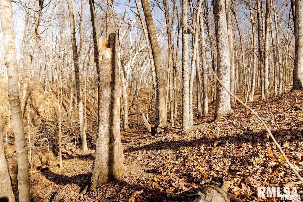 500-n 300 East E Road Oconee, IL 62553 - Photo 26 of 43