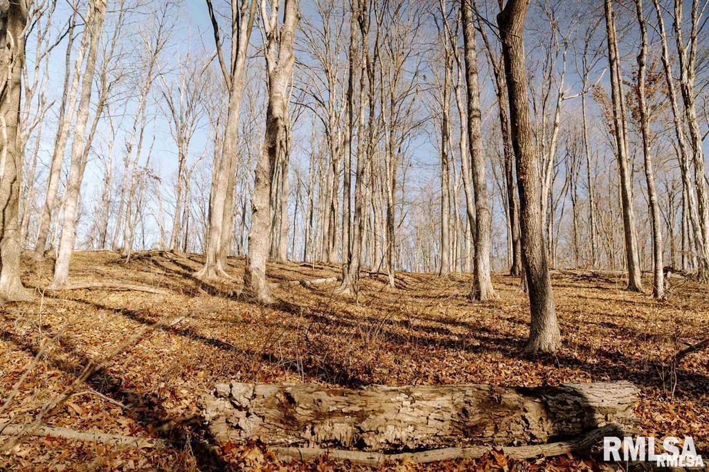 500-n 300 East E Road Oconee, IL 62553 - Photo 28 of 43