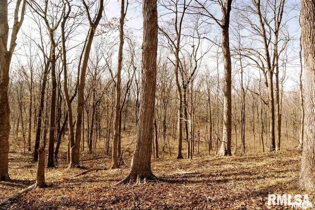 $840,000 | 500-n 300 East E Road, Oconee, IL 62553