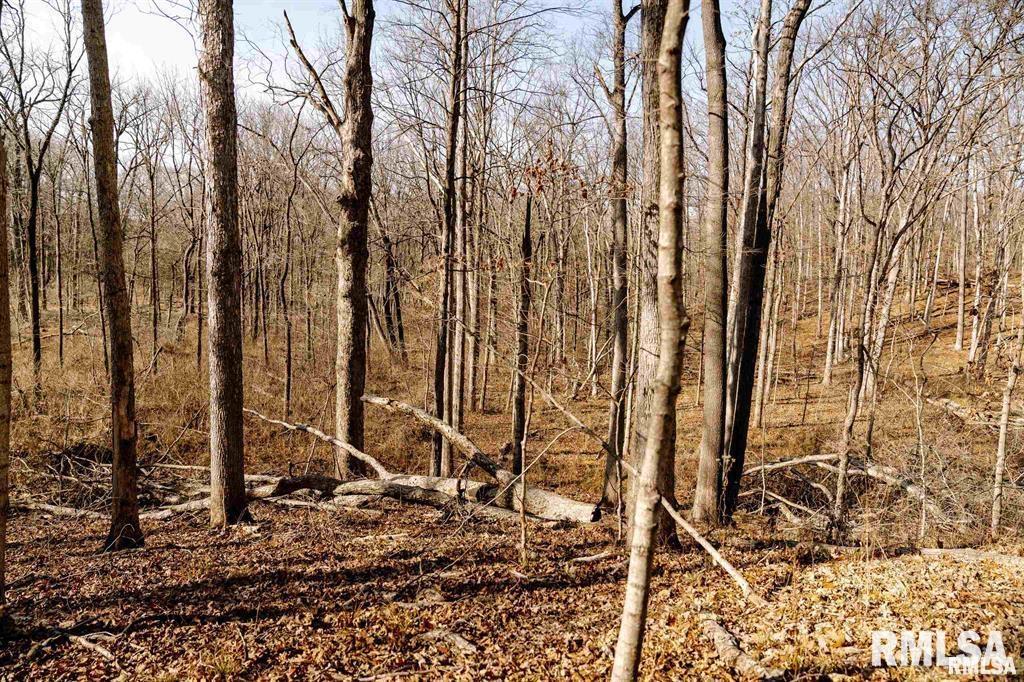 500-n 300 East E Road Oconee, IL 62553 - Photo 30 of 43