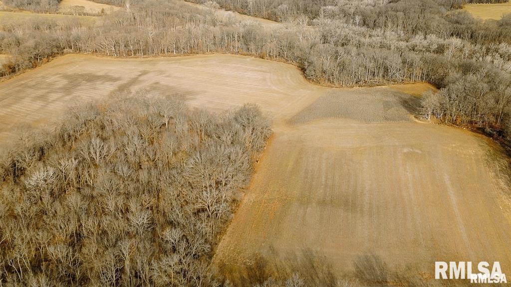 500-n 300 East E Road Oconee, IL 62553 - Photo 3 of 43