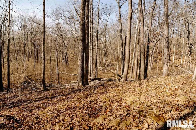 $840,000 | 500-n 300 East E Road, Oconee, IL 62553