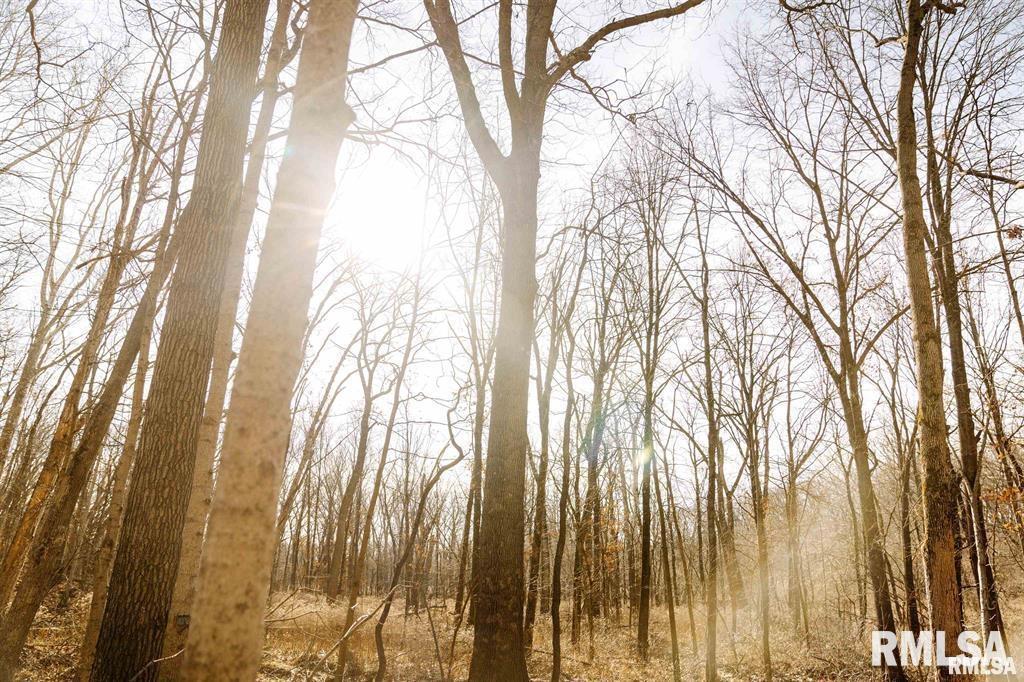 500-n 300 East E Road Oconee, IL 62553 - Photo 32 of 43