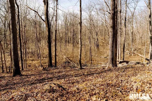 $840,000 | 500-n 300 East E Road, Oconee, IL 62553