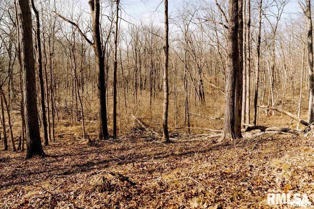 500-n 300 East E Road Oconee, IL 62553 - Photo 33 of 43