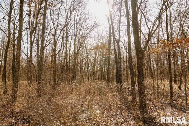 $840,000 | 500-n 300 East E Road, Oconee, IL 62553