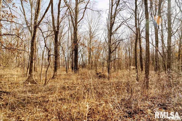 $840,000 | 500-n 300 East E Road, Oconee, IL 62553