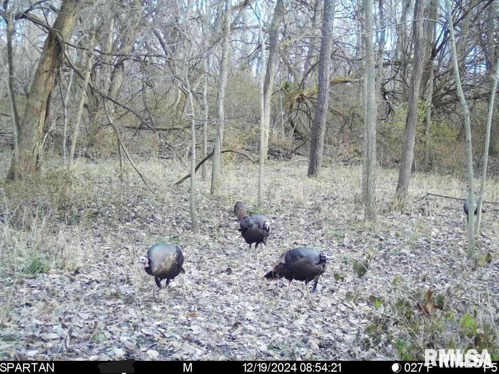 500-n 300 East E Road Oconee, IL 62553 - Photo 36 of 43