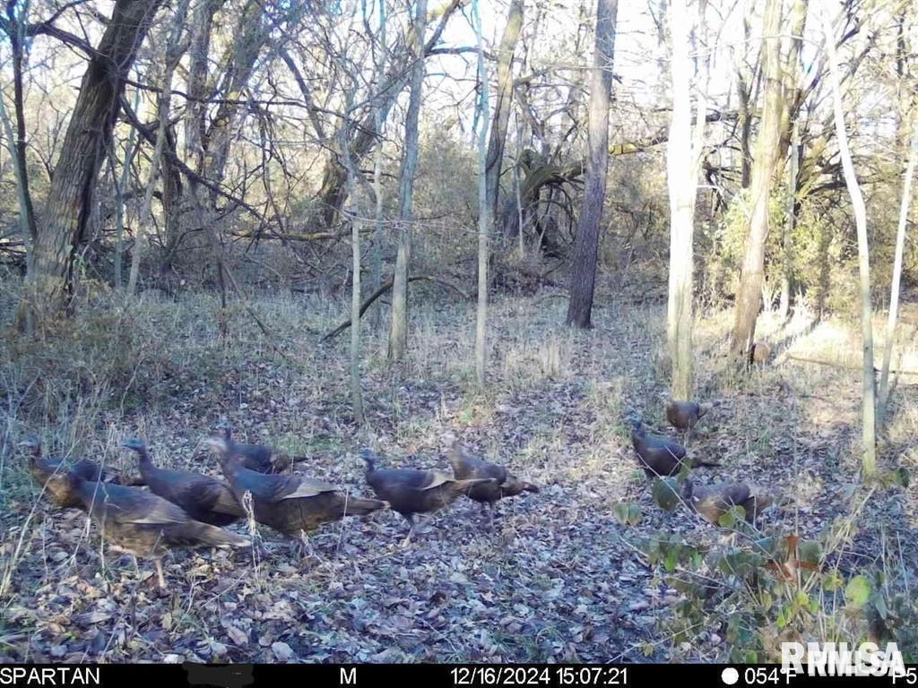 500-n 300 East E Road Oconee, IL 62553 - Photo 37 of 43