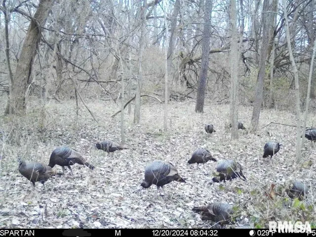 $840,000 | 500-n 300 East E Road, Oconee, IL 62553