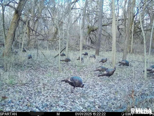 $840,000 | 500-n 300 East E Road, Oconee, IL 62553