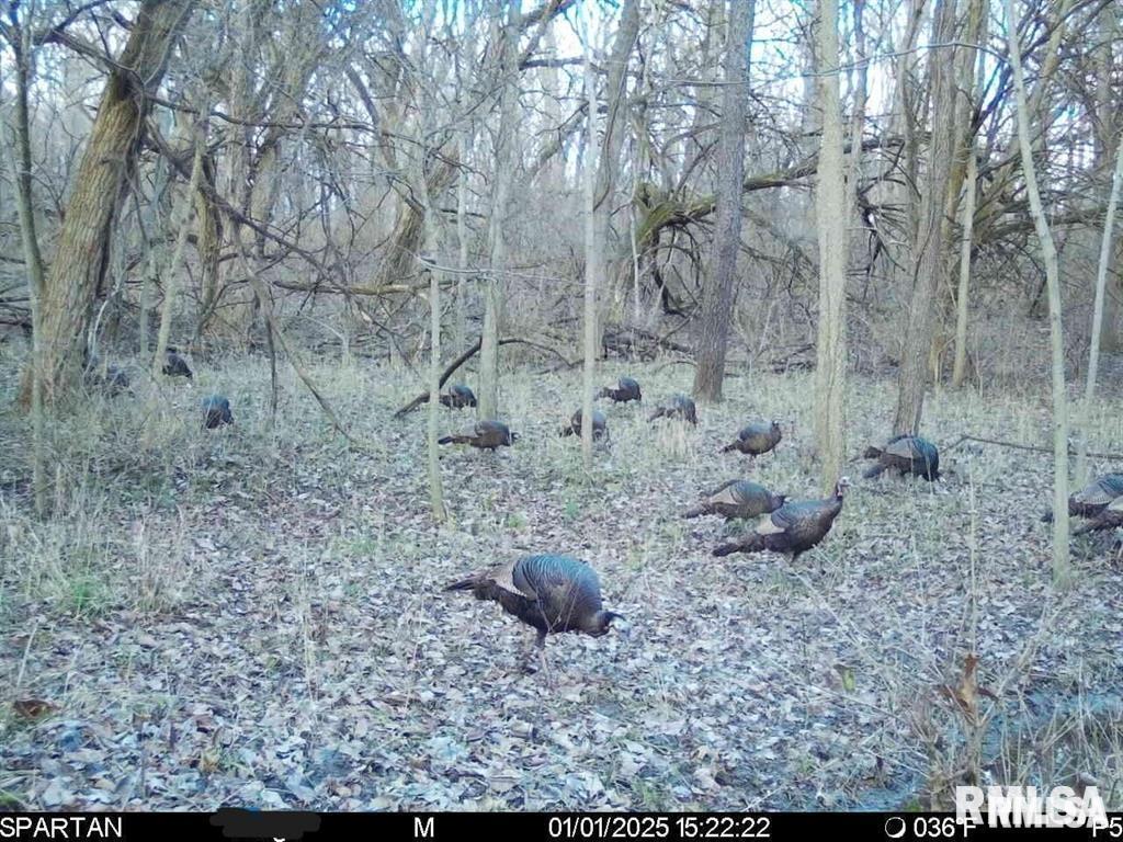 500-n 300 East E Road Oconee, IL 62553 - Photo 39 of 43