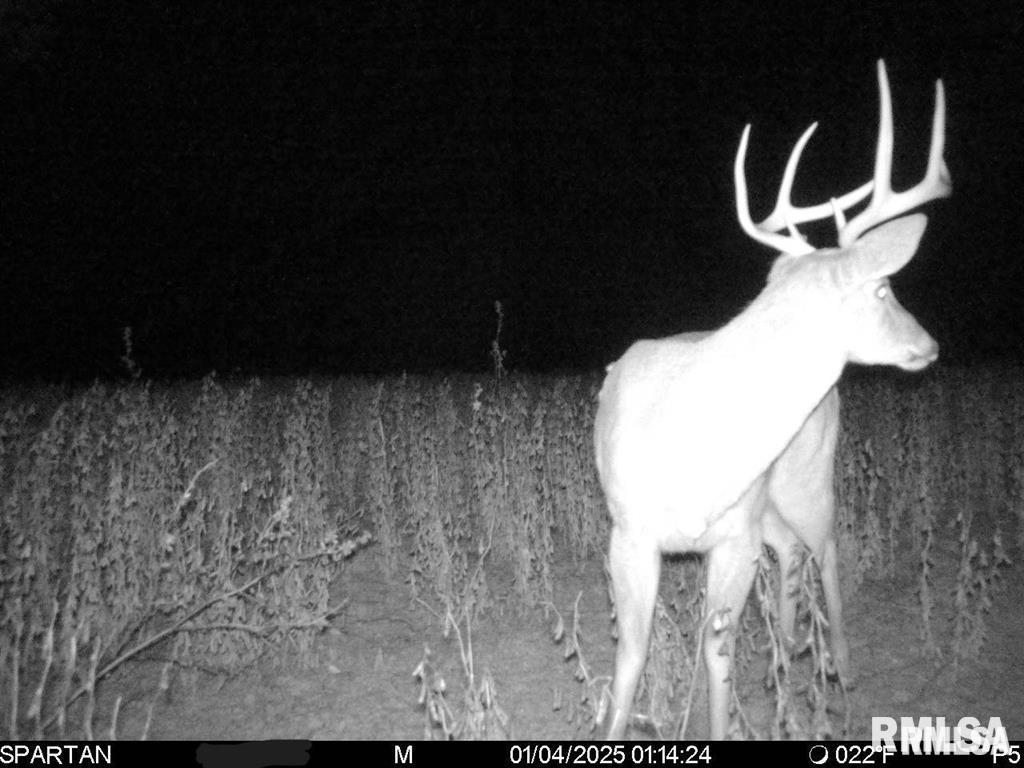 500-n 300 East E Road Oconee, IL 62553 - Photo 40 of 43