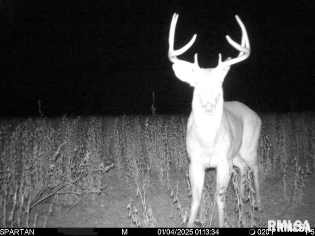 $840,000 | 500-n 300 East E Road, Oconee, IL 62553