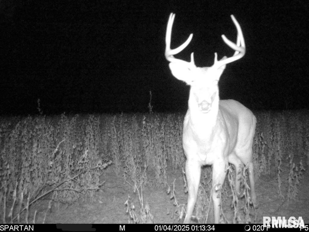 500-n 300 East E Road Oconee, IL 62553 - Photo 41 of 43