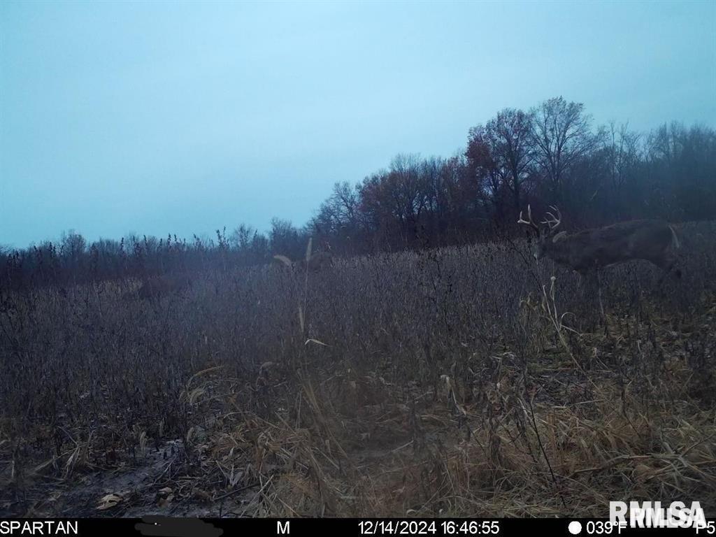 500-n 300 East E Road Oconee, IL 62553 - Photo 42 of 43