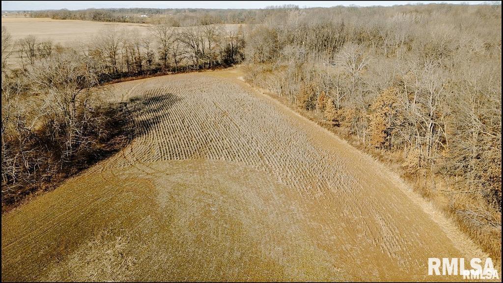 500-n 300 East E Road Oconee, IL 62553 - Photo 6 of 43