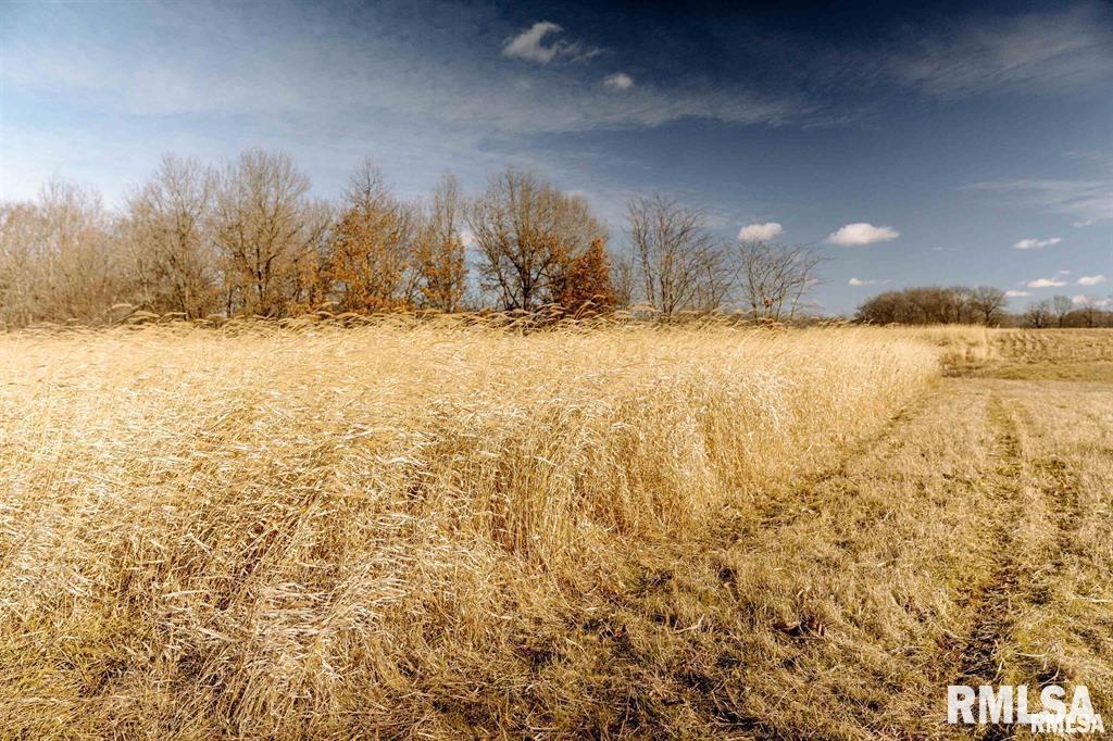 500-n 300 East E Road Oconee, IL 62553 - Photo 8 of 43