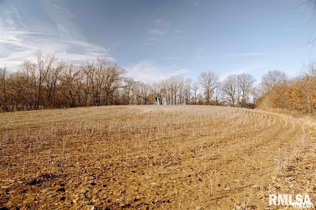 500-n 300 East E Road Oconee, IL 62553 - Photo 9 of 43
