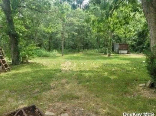 a view of a lush green space