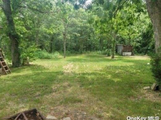 556 Hawkins Road Selden, NY 11784 - Photo 8 of 12 a view of a lush green space