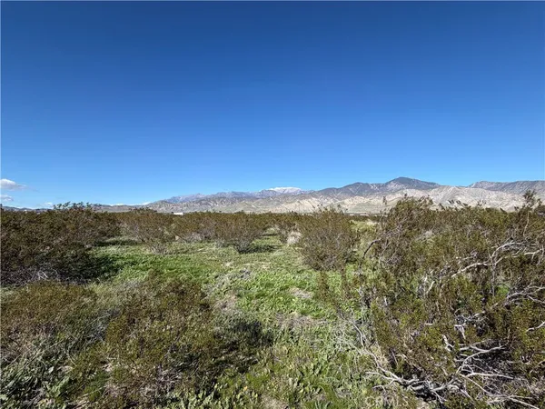 a view of a mountain range with a lush green forest