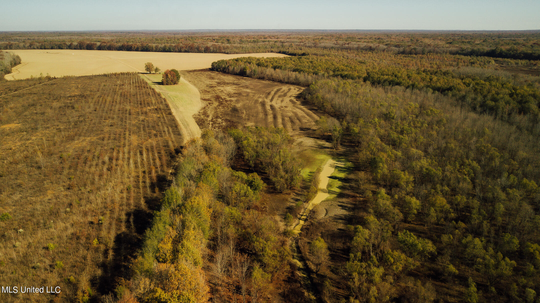 541 County Road Philipp, MS 38950 - Photo 1 of 72 Leflore 755