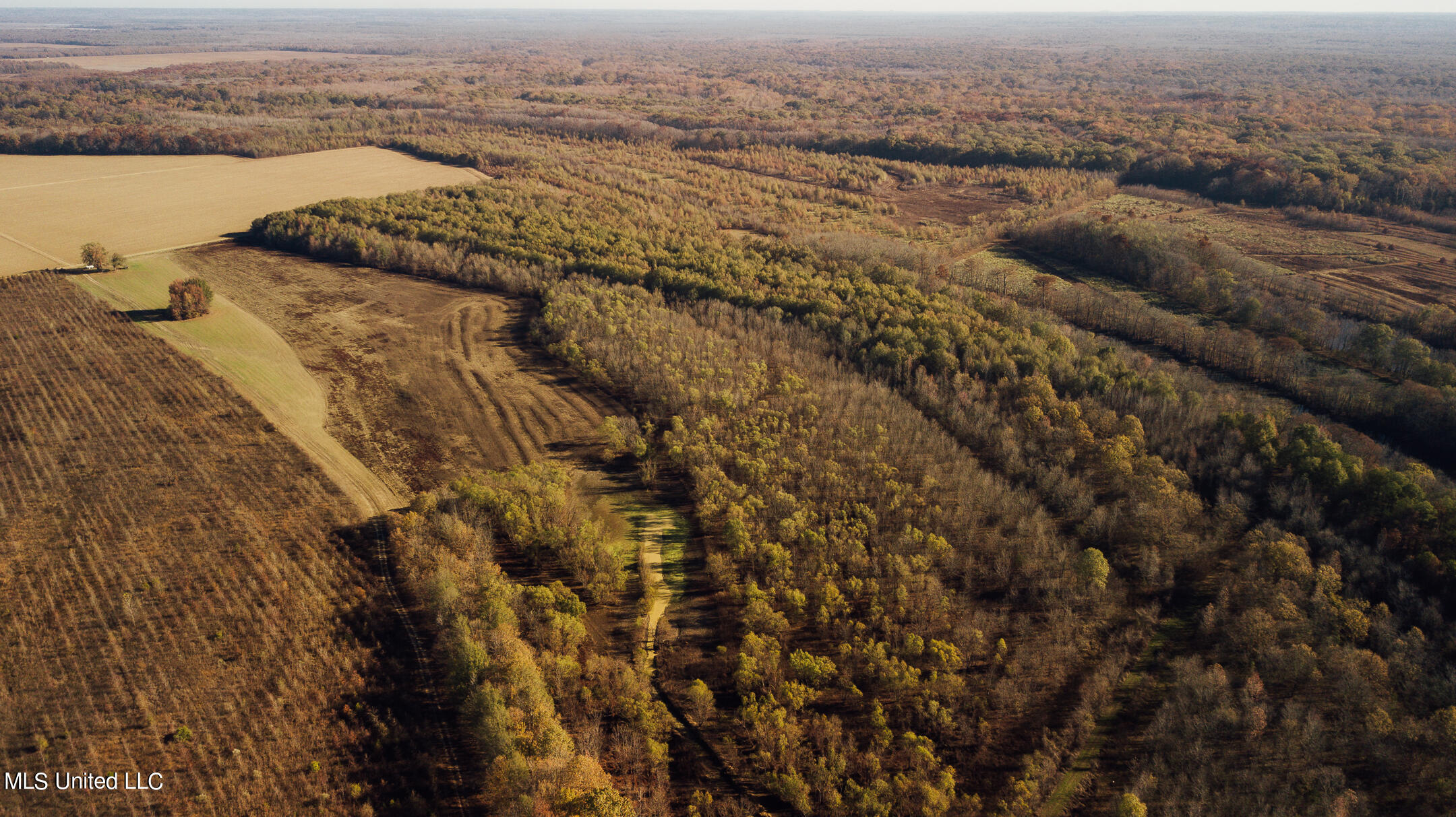 541 County Road Philipp, MS 38950 - Photo 20 of 72 750 Leflore Drone-8