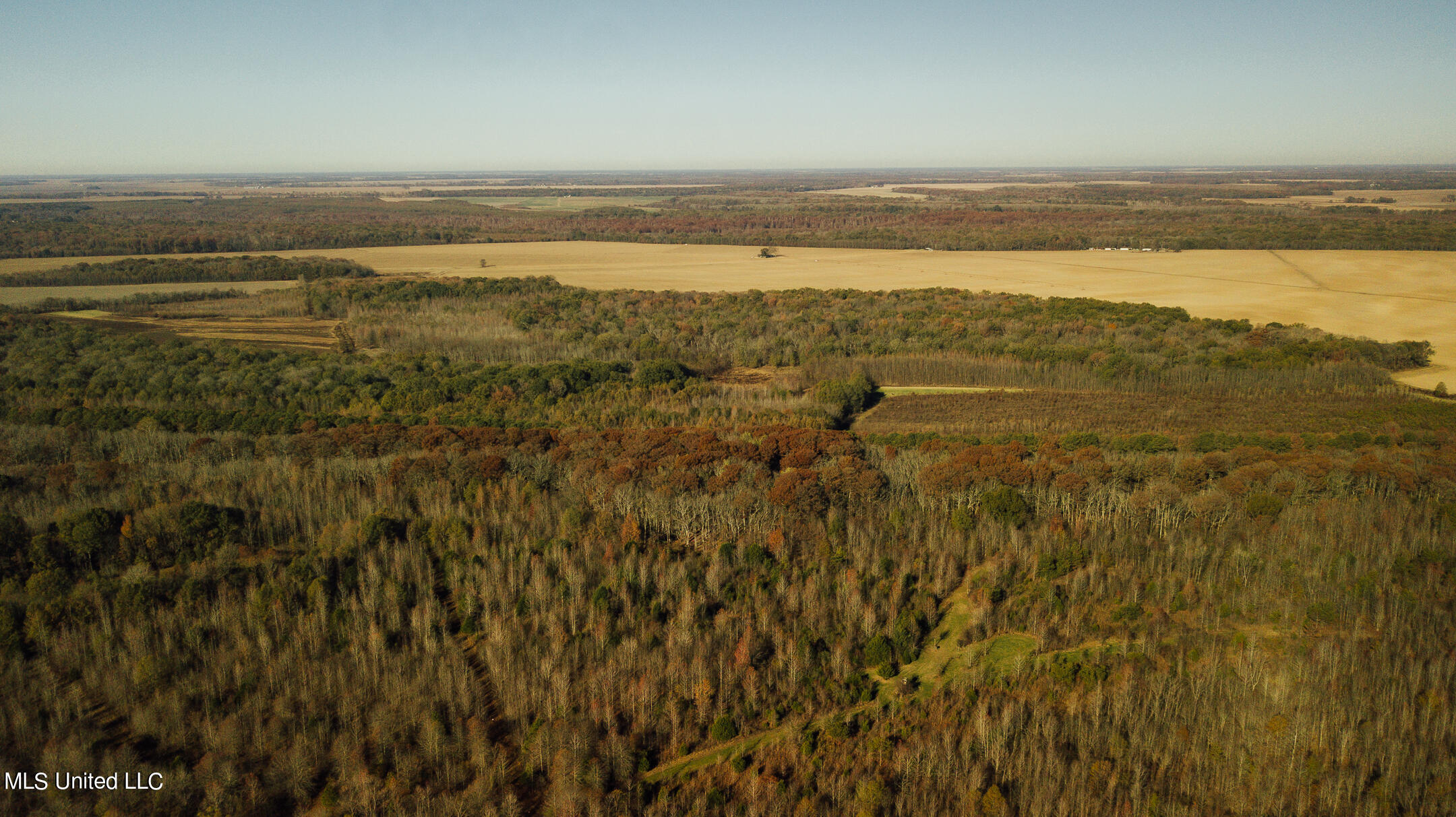541 County Road Philipp, MS 38950 - Photo 22 of 72 750 Leflore Drone-10