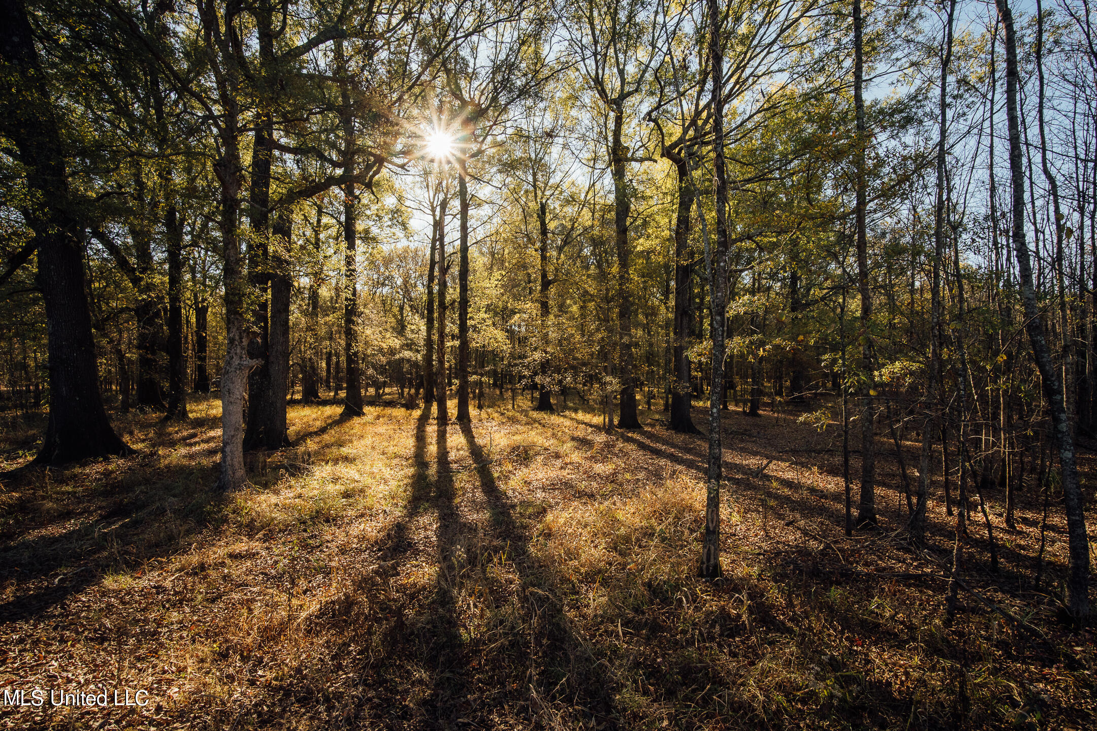 541 County Road Philipp, MS 38950 - Photo 42 of 72 750 Leflore Pics-22