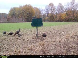 541 County Road Philipp, MS 38950 - Photo 69 of 72 turkey