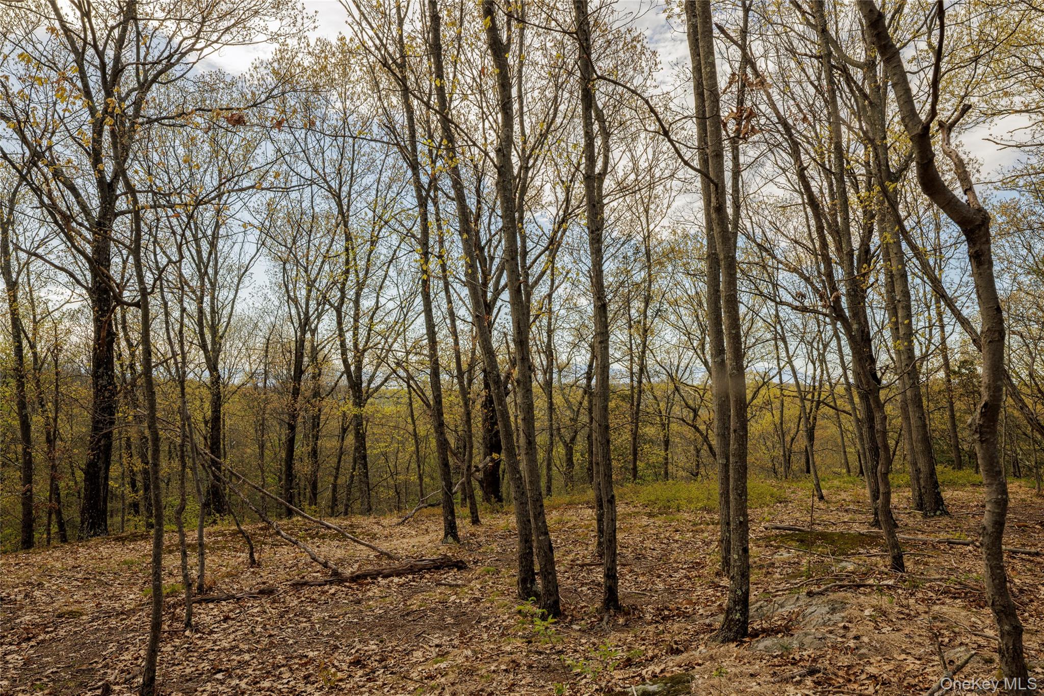 Schultz Hill Road Staatsburg, NY 12580 - Photo 3 of 10