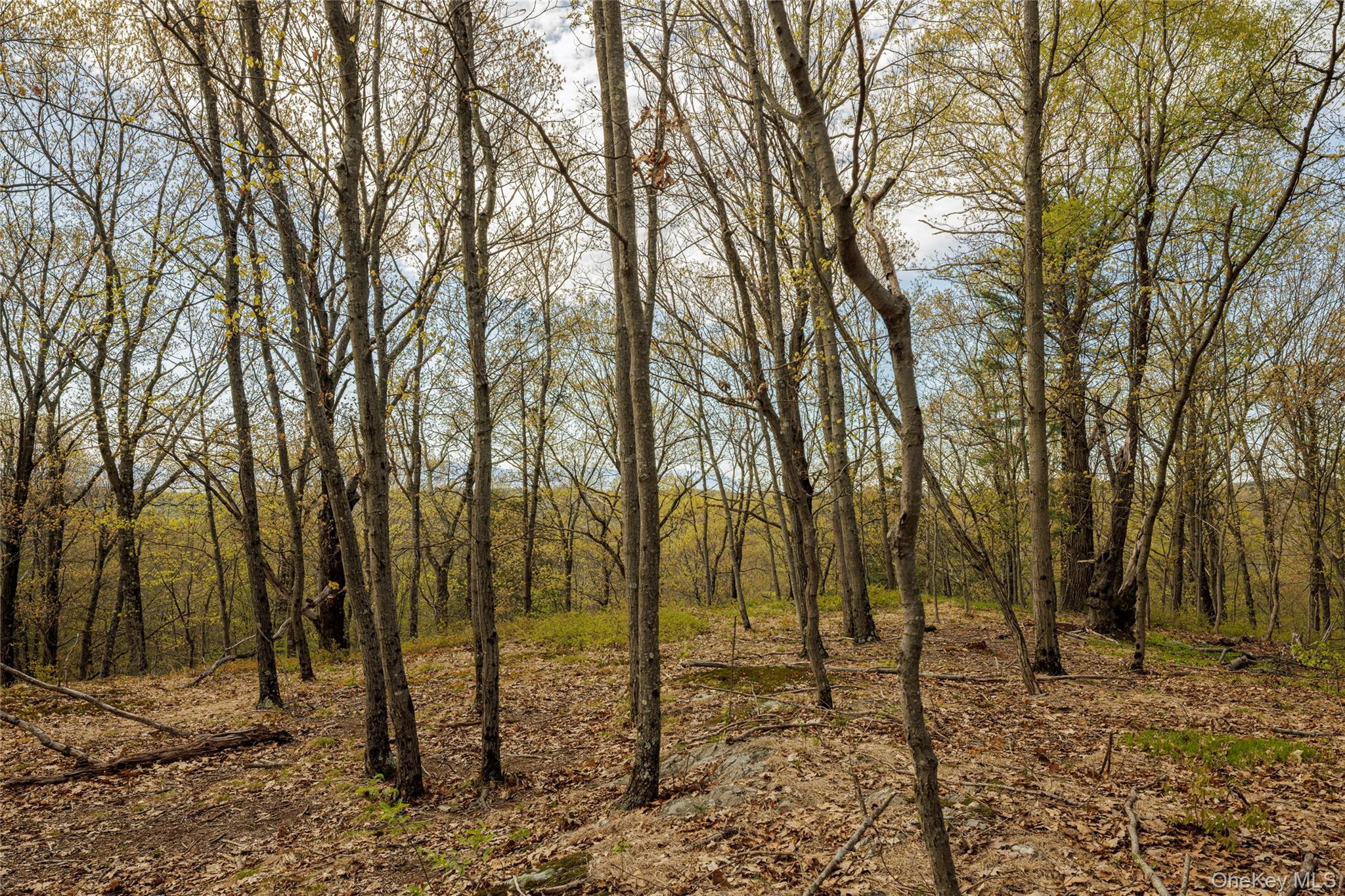 Schultz Hill Road Staatsburg, NY 12580 - Photo 4 of 10