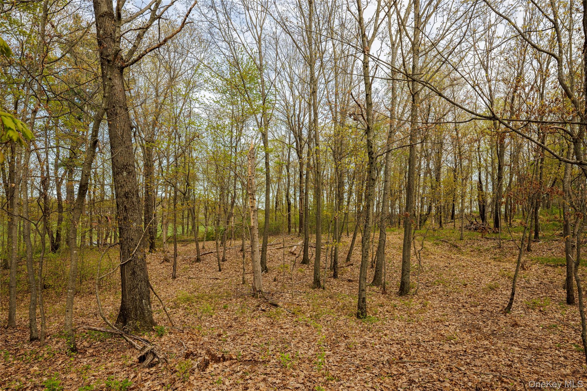 Schultz Hill Road Staatsburg, NY 12580 - Photo 5 of 10