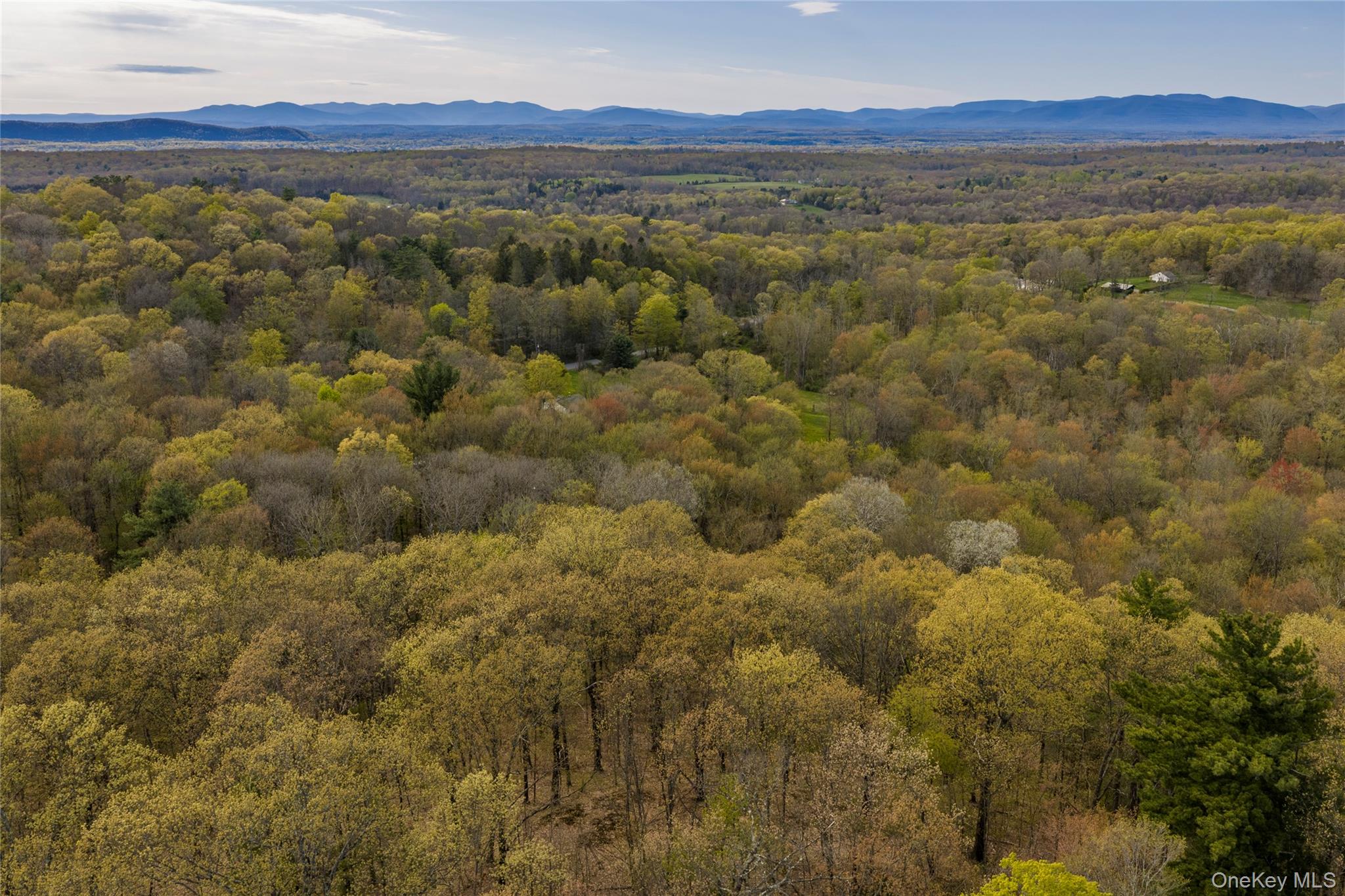 Schultz Hill Road Staatsburg, NY 12580 - Photo 6 of 10