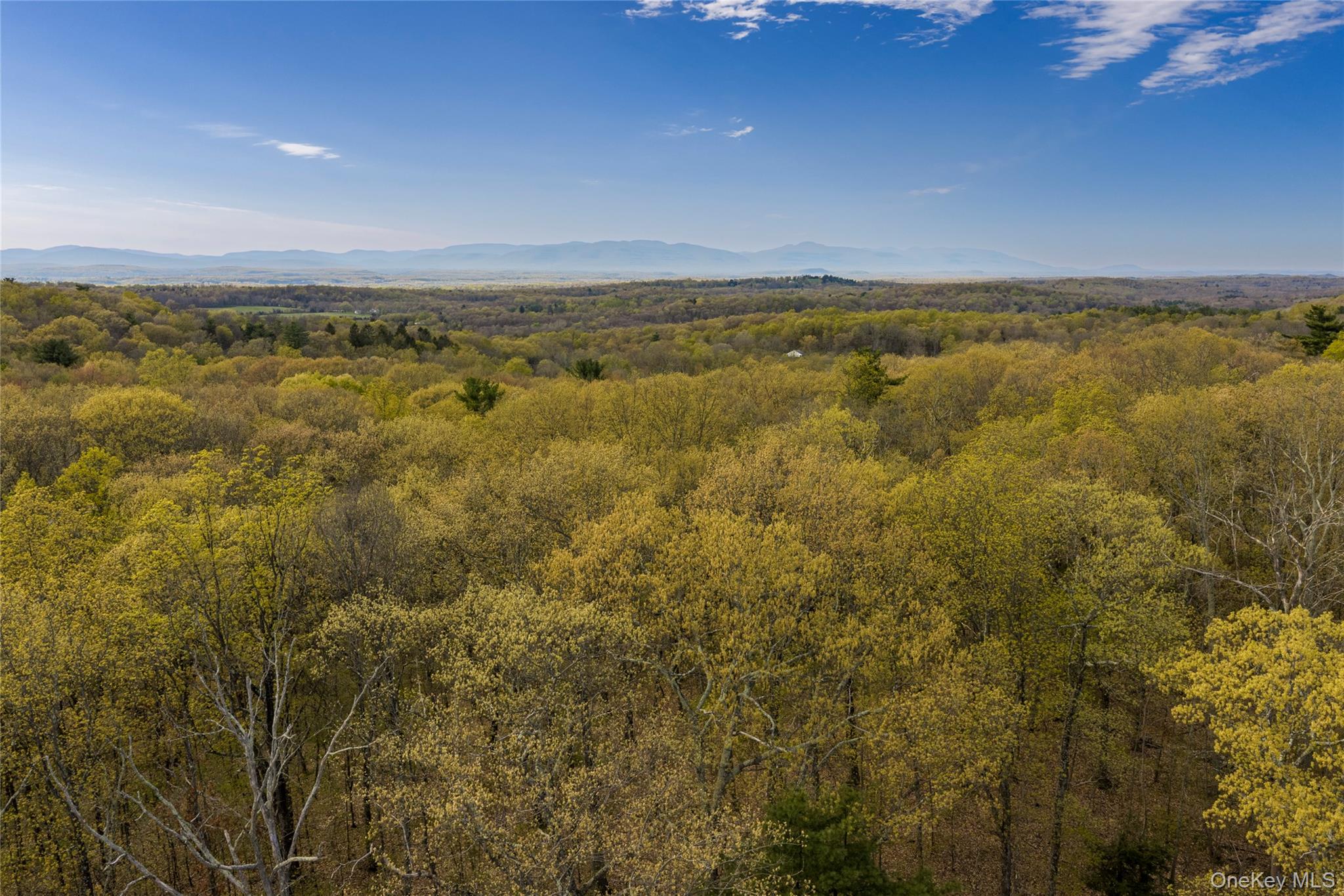 Schultz Hill Road Staatsburg, NY 12580 - Photo 7 of 10