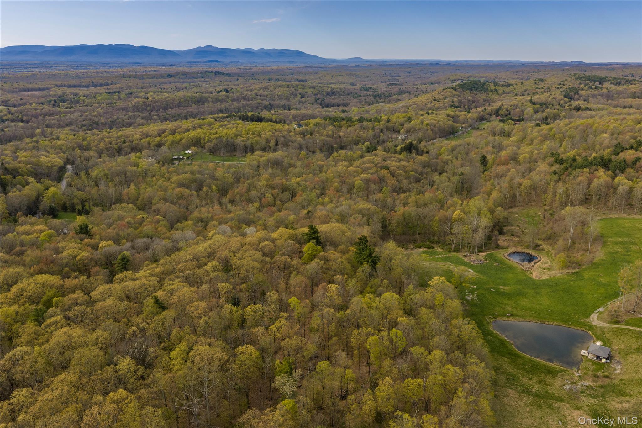 Schultz Hill Road Staatsburg, NY 12580 - Photo 8 of 10