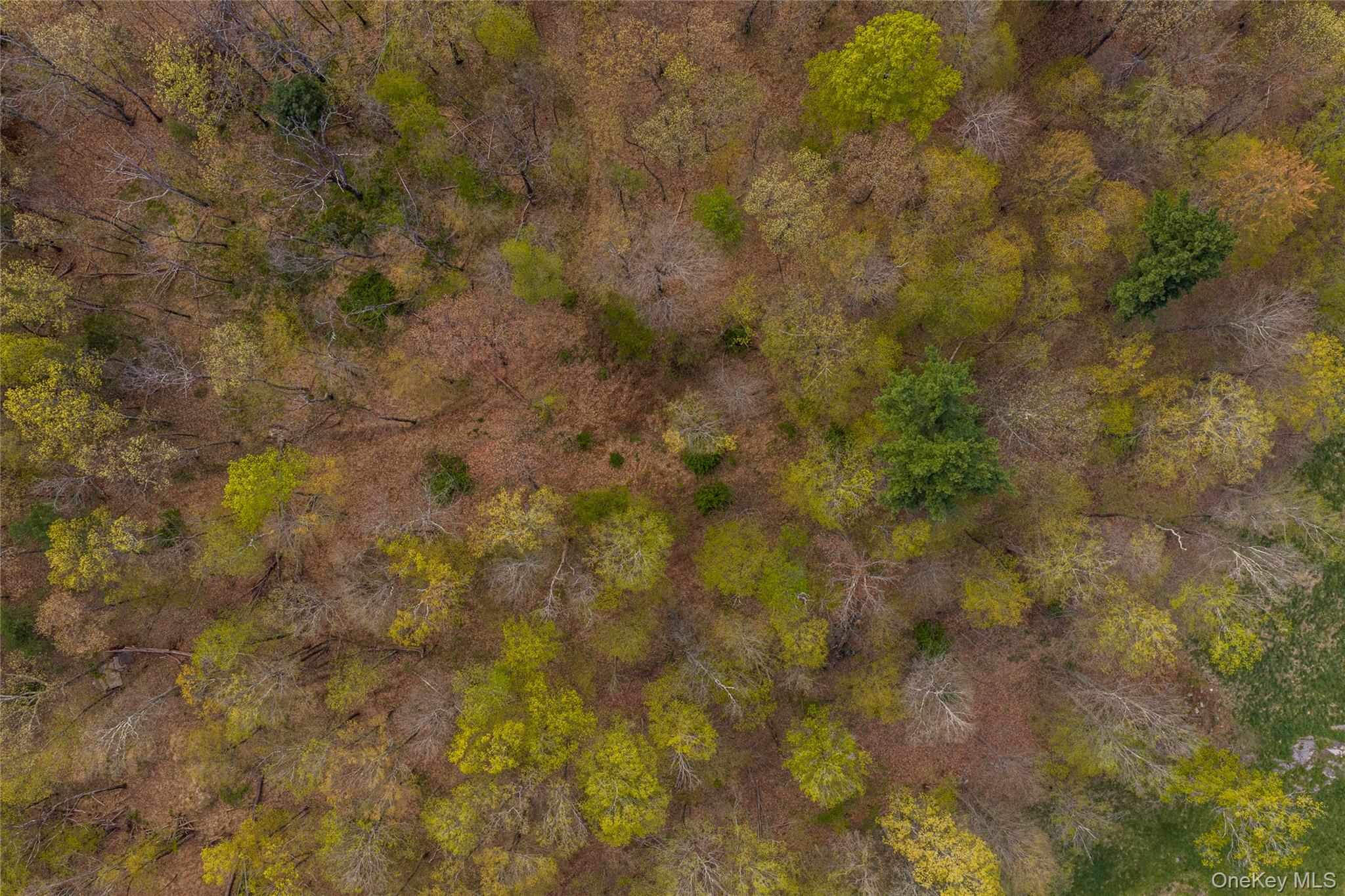 Schultz Hill Road Staatsburg, NY 12580 - Photo 9 of 10