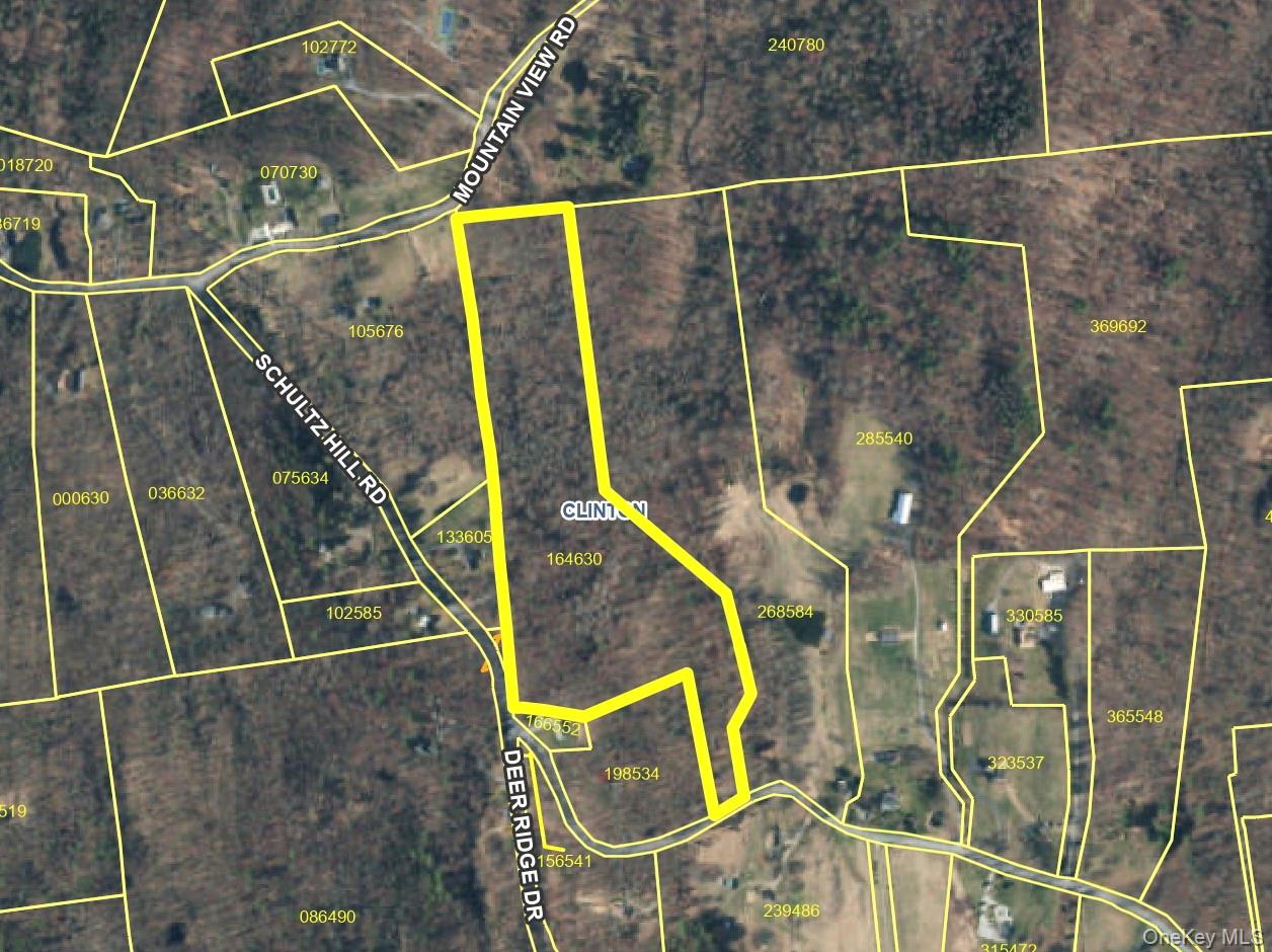 Schultz Hill Road Staatsburg, NY 12580 - Photo 10 of 10