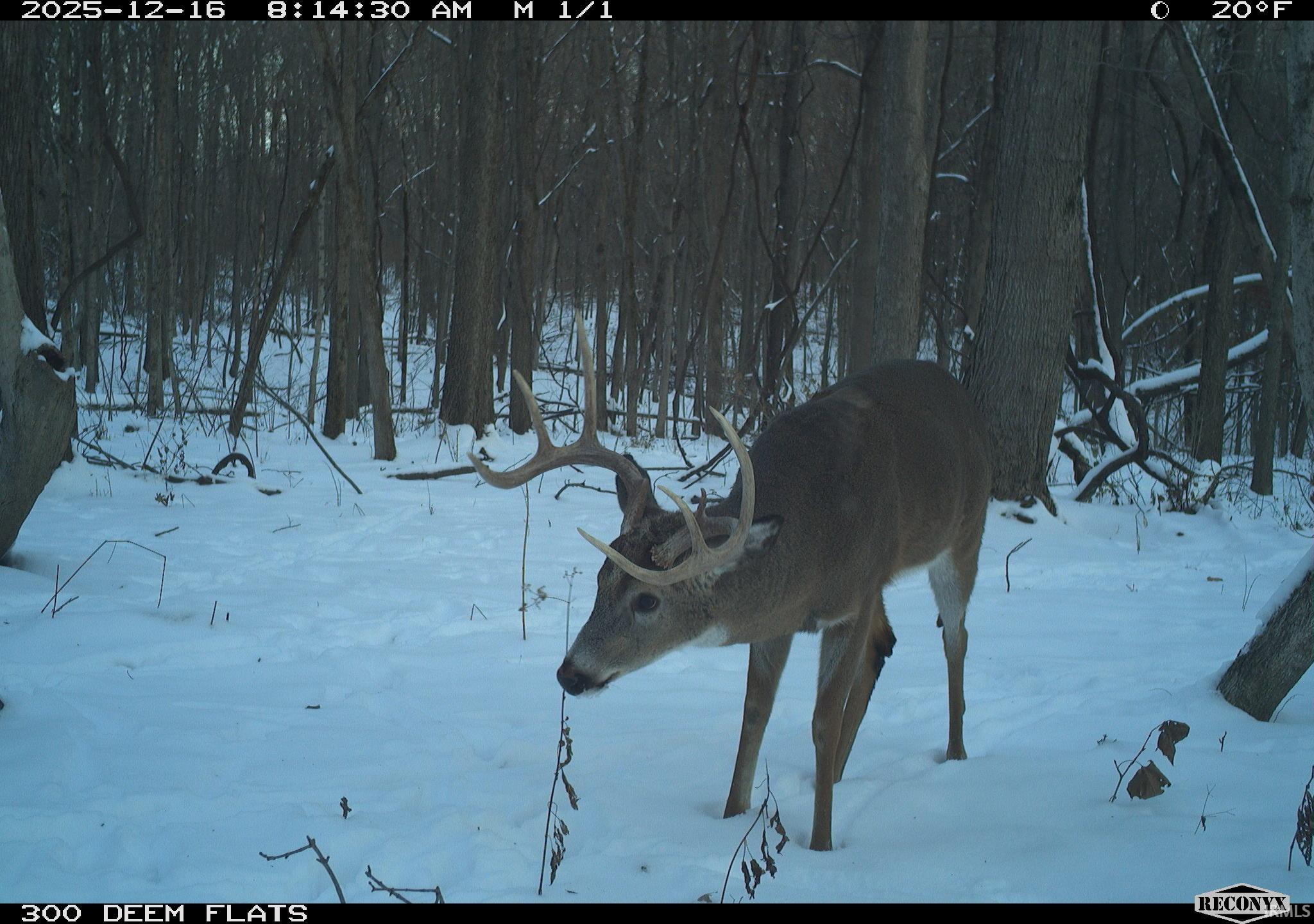 0 1300 S Clinton, IN 47842 - Photo 12 of 30