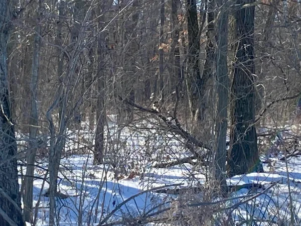 $241,360 | 0 1300 S, Clinton, IN 47842